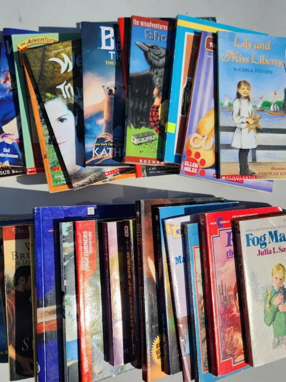 4 Book Bundle Lot Set Chapter Books Young Adult Literature Novels Mystery Books
